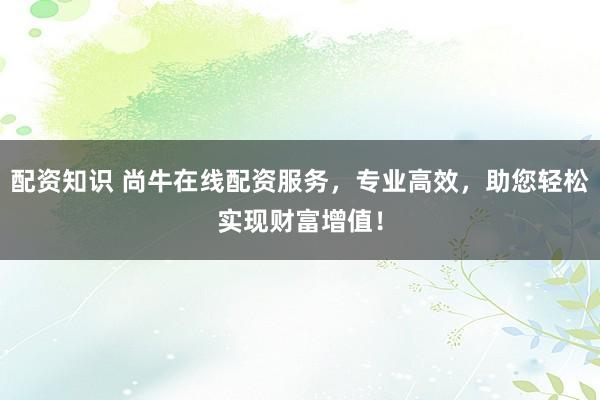 配资知识 尚牛在线配资服务，专业高效，助您轻松实现财富增值！