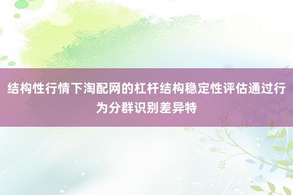 结构性行情下淘配网的杠杆结构稳定性评估通过行为分群识别差异特