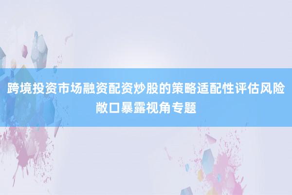 跨境投资市场融资配资炒股的策略适配性评估风险敞口暴露视角专题