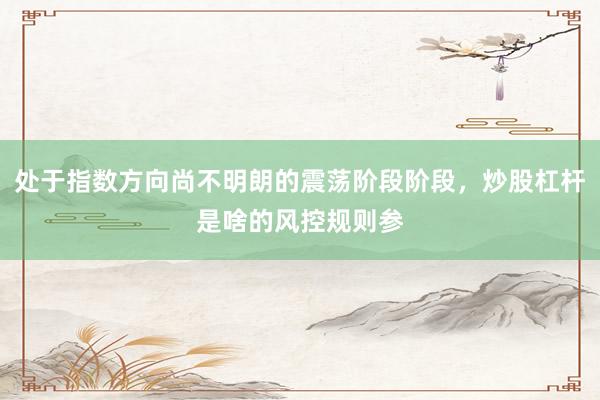 处于指数方向尚不明朗的震荡阶段阶段，炒股杠杆是啥的风控规则参
