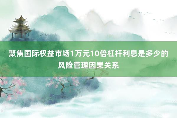 聚焦国际权益市场1万元10倍杠杆利息是多少的风险管理因果关系