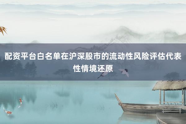 配资平台白名单在沪深股市的流动性风险评估代表性情境还原