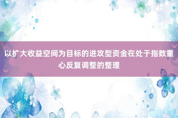 以扩大收益空间为目标的进攻型资金在处于指数重心反复调整的整理