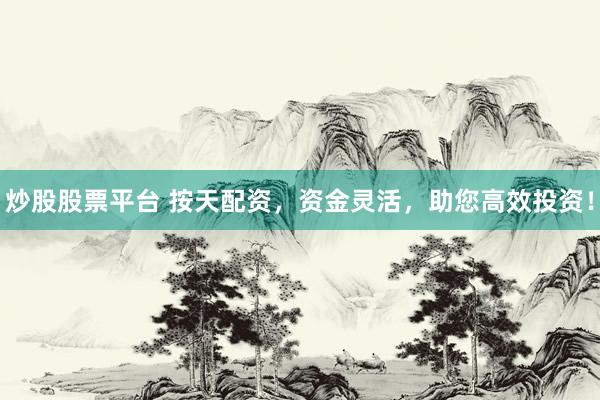 炒股股票平台 按天配资，资金灵活，助您高效投资！